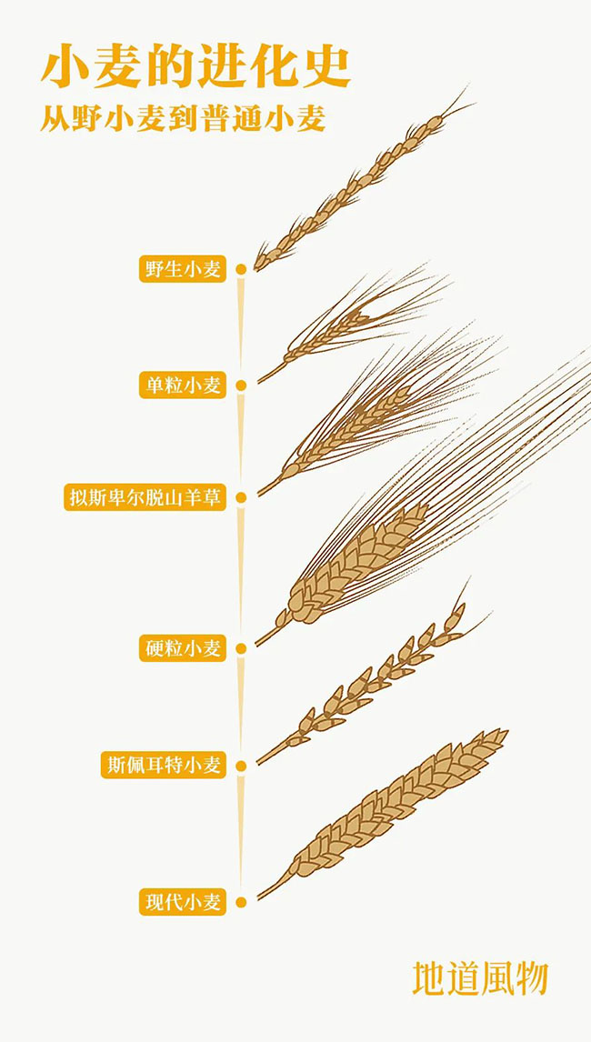 什么是中國夏天最美的景色,？