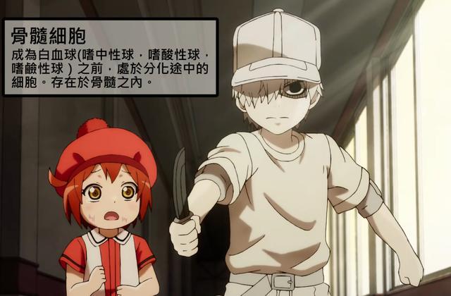 國(guó)產(chǎn)動(dòng)漫題材多樣性亟待大力探索突破