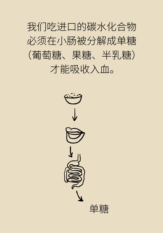 抗糖化能防衰老是真的,！做好這6點就行