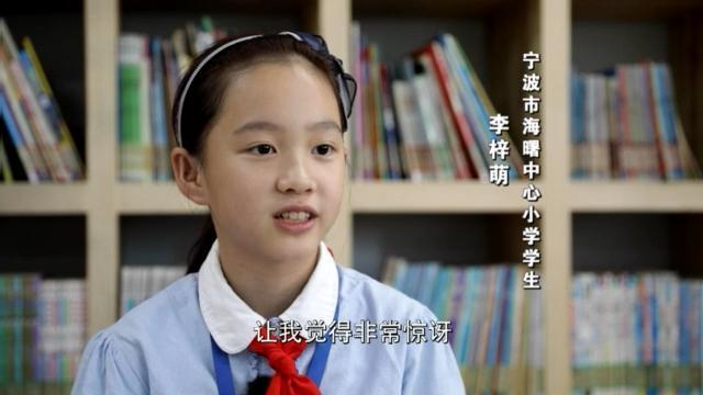 “神獸”歸來 不花錢的暑托班有市場(chǎng)嗎,？