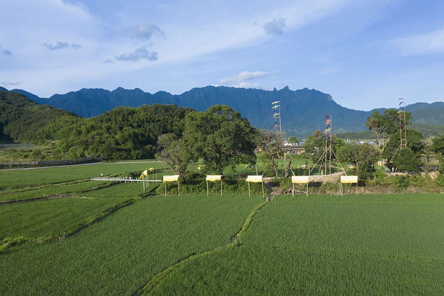 農(nóng)作物廢料變身“植染藝術(shù)品”，把福建這個鄉(xiāng)村裝扮成藝術(shù)館！