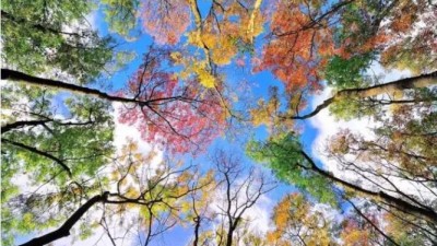 秋季最實(shí)用攝影技巧,，快學(xué)習(xí)了,！