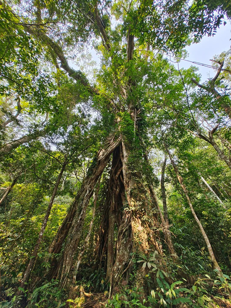 中國國家公園,，到底有多寶藏,？