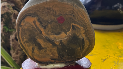 大自然的鬼斧神工,，奇石一覽