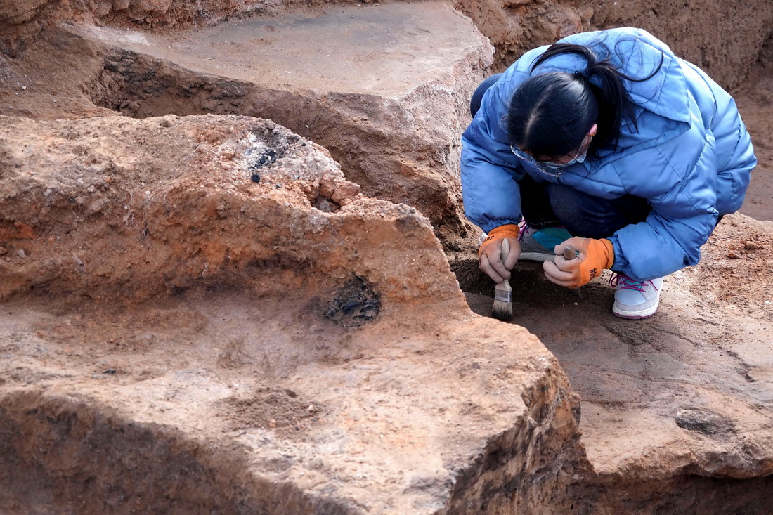 河南蘇羊遺址發(fā)現(xiàn)距今5000年前后多元文化交流重要實證