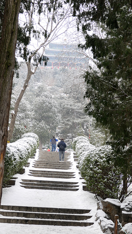 雪中景山公園,、故宮