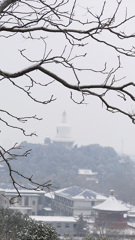 雪中景山公園,、故宮