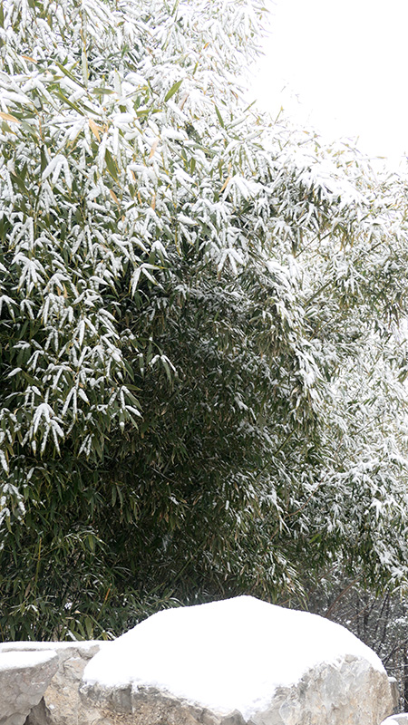 雪中景山公園、故宮