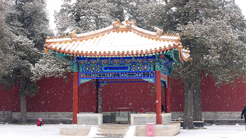 雪中景山公園,、故宮——李月攝影