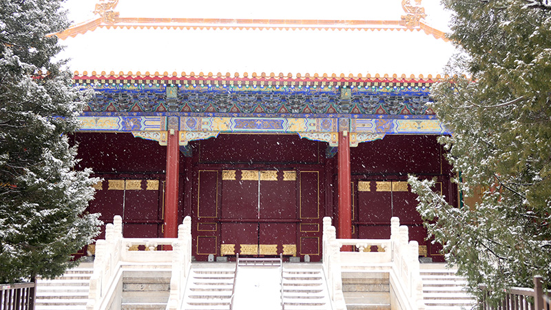 雪中景山公園,、故宮——李月攝影