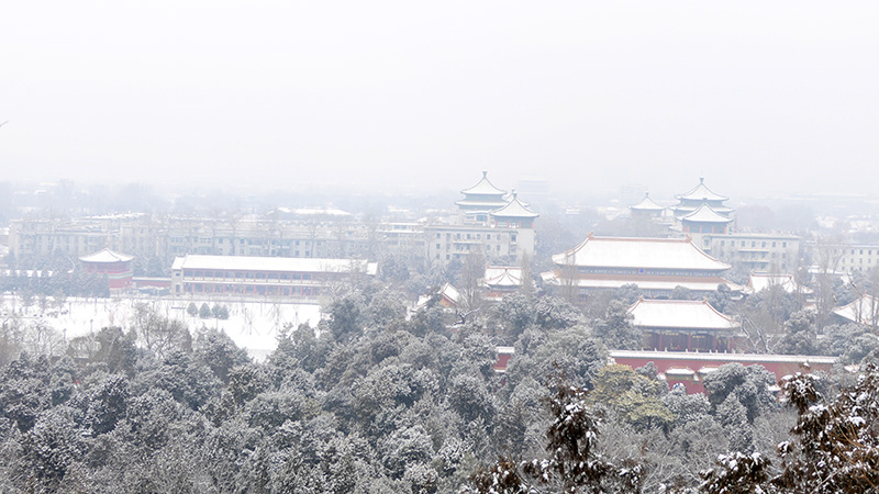 雪中景山公園,、故宮——李月攝影