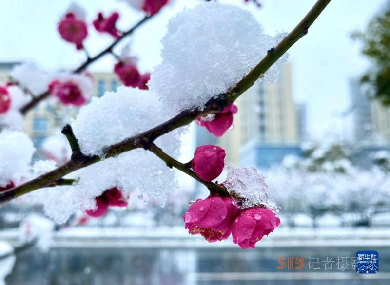 我國多地迎來降雪