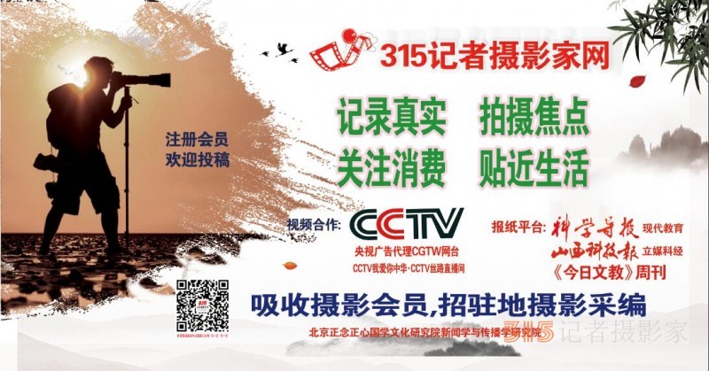 笑琰攝影:春雪野鴨圖