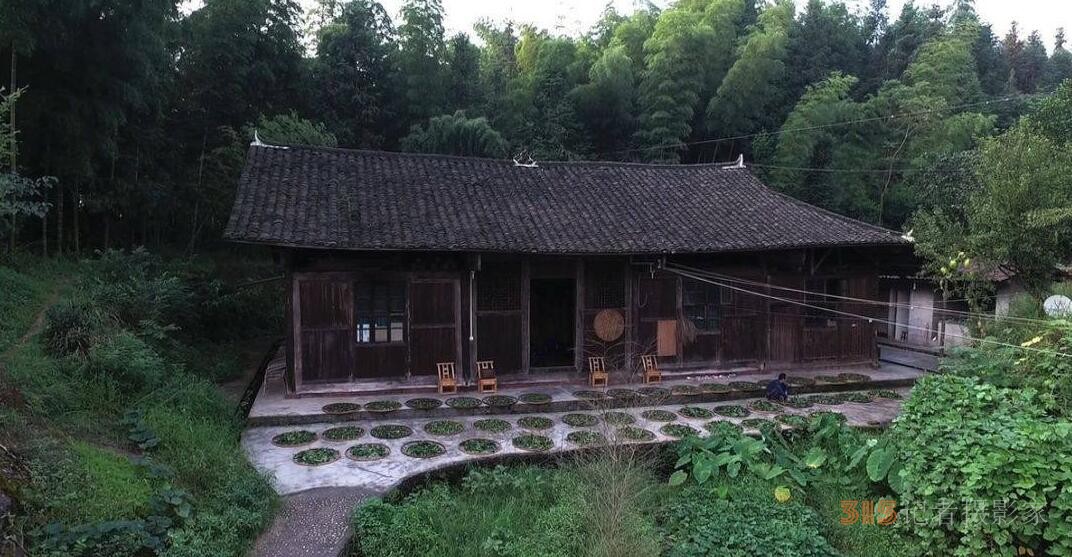 華祥龍茶業(yè)創(chuàng)始人——中國(guó)茶癡董紹林