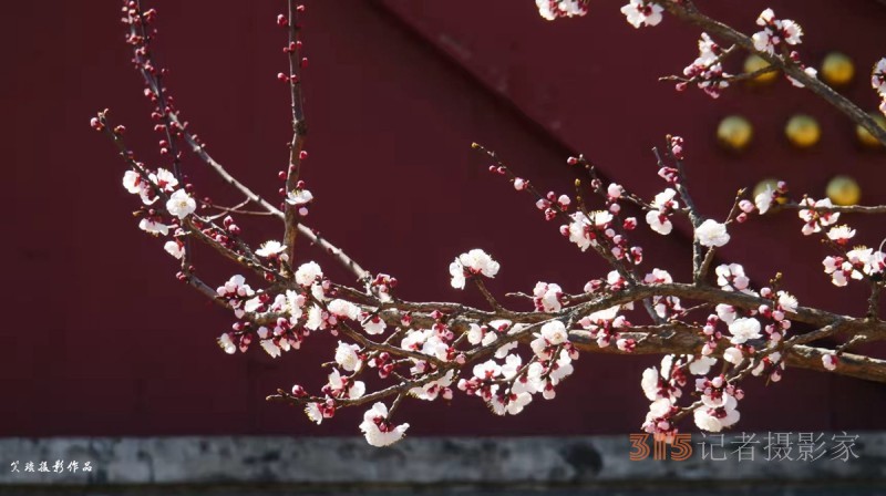 李月禪詩(shī)選登