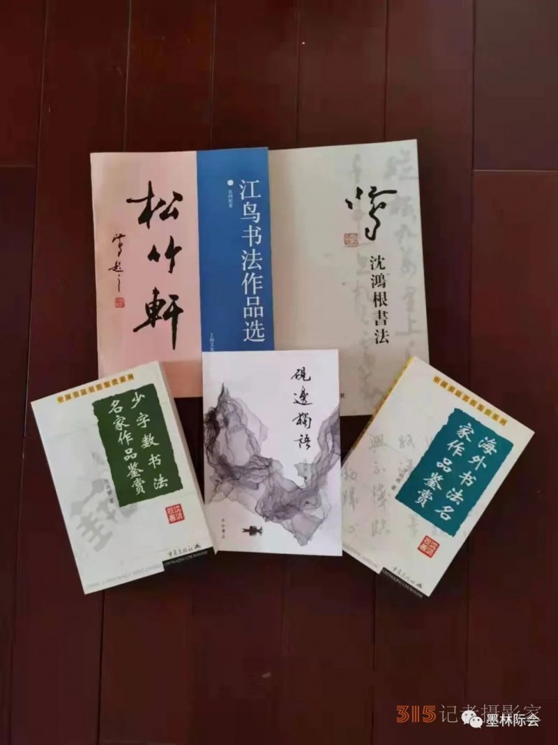 獨(dú)標(biāo)風(fēng)骨藝壇上,，濯古來(lái)新成一家---沈鴻根先生訪談