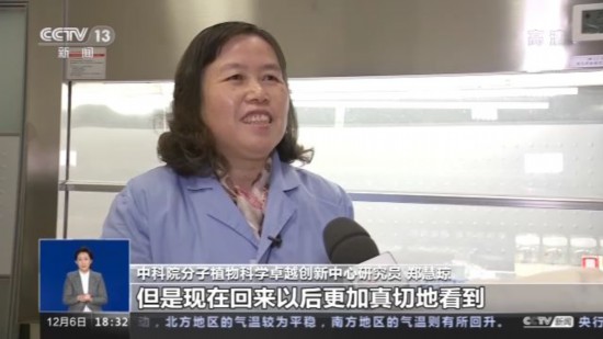 神十四乘組帶回植物種子 “太空植物”生長有何奧秘,？