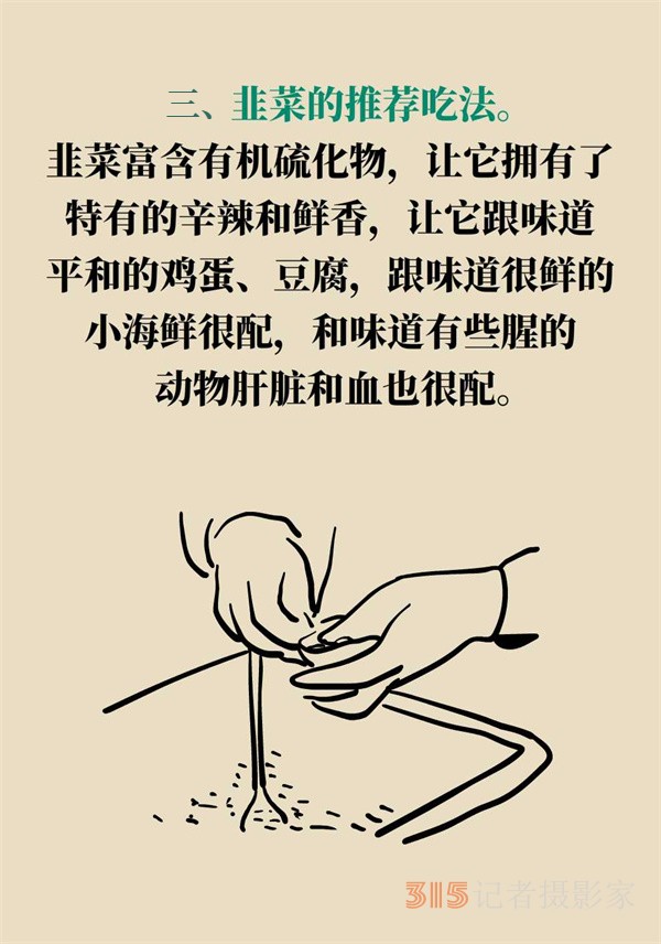 抗炎抗氧化,，春天的韭菜這樣吃最好