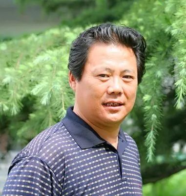 書畫名家白光作品——以書入畫 詩化丹青