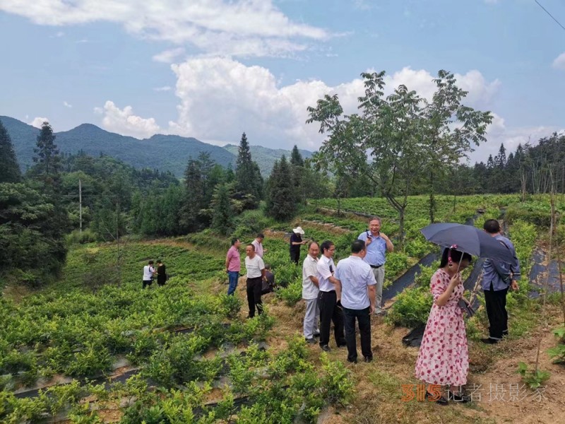 名家走基層助力鄉(xiāng)村振興活動(dòng)在酉陽(yáng)木葉鄉(xiāng)舉行