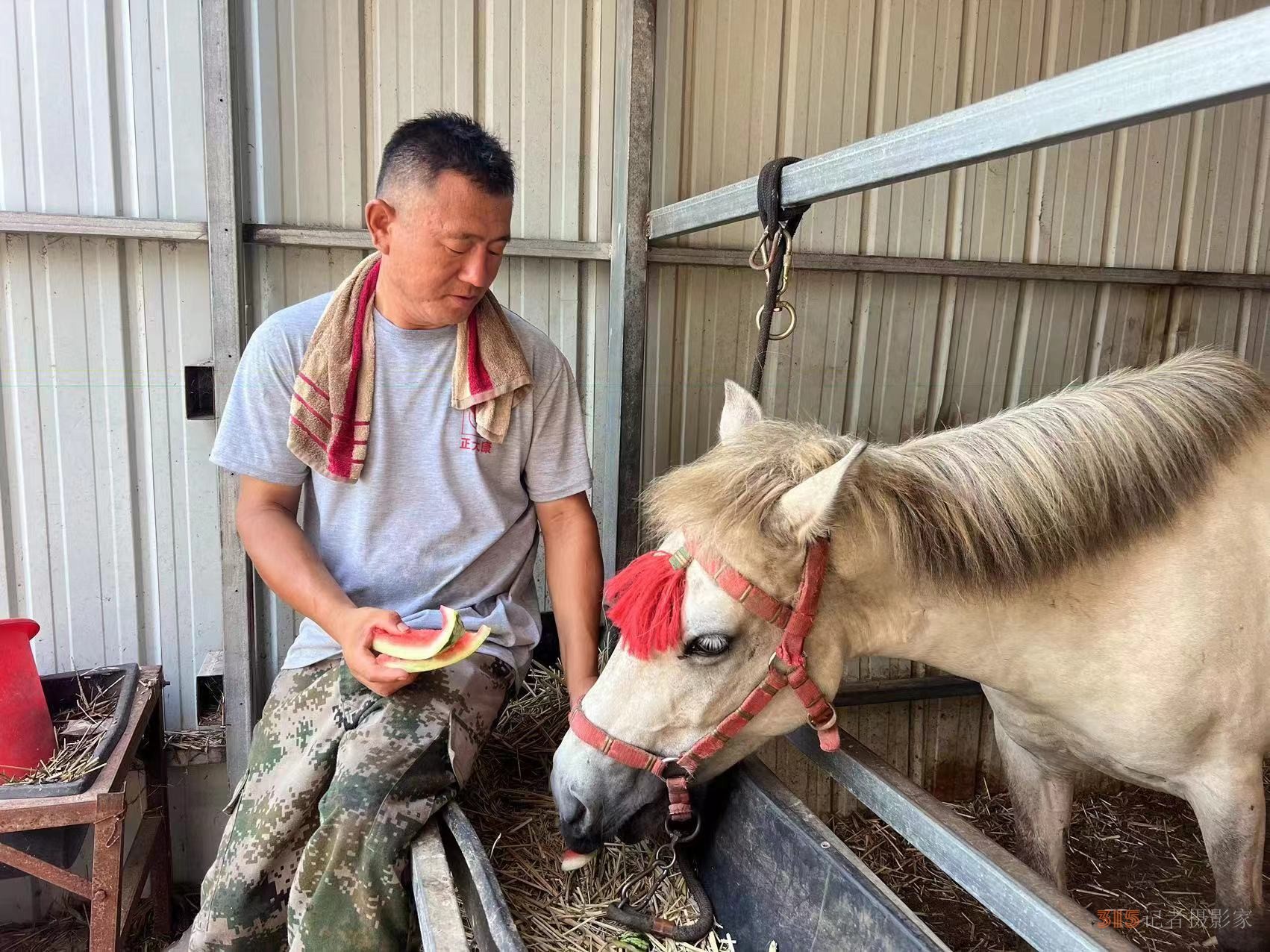 跨界養(yǎng)馬,，勤勞致富助力公益救援