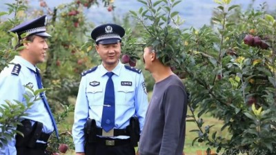 【護(hù)航秋收】禮縣公安：蘋(píng)果地里“話(huà)”安全