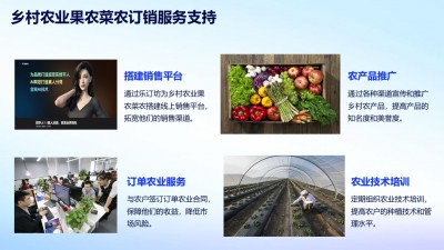 樂(lè)訂坊線(xiàn)上商城及樂(lè)訂坊AI數(shù)字人介紹