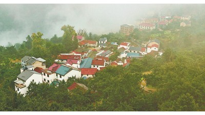 浙江紹興會(huì)稽山——香榧千年 香飄萬(wàn)里