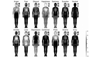 人體內(nèi)非腦細(xì)胞也有學(xué)習(xí)和記憶能力