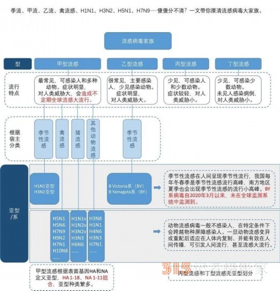 甲流,、乙流、禽流感……都是流感,，有什么不同,？