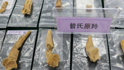 “2024年中國(guó)考古新發(fā)現(xiàn)”揭曉