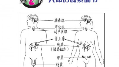 激素或能預(yù)防長(zhǎng)皺紋和生白發(fā)