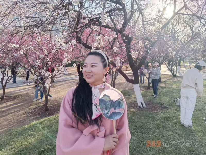春分時節(jié)明城墻樂游賞梅