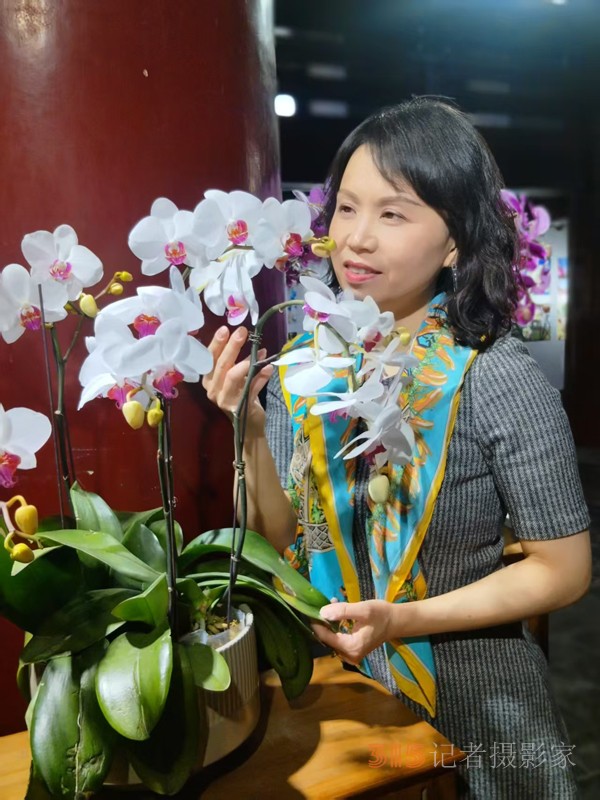 春分時節(jié)明城墻樂游賞梅