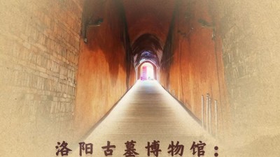 洛陽古墓博物館：“冷門”變“爆款”靠什么,？