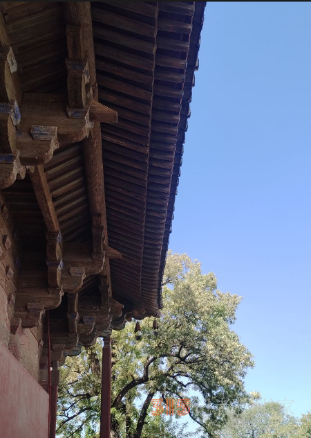 天津獨(dú)樂寺