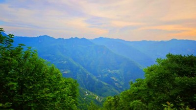 云端納涼地 振興進(jìn)行時(shí)——重慶巫山楠木村：海拔1700米的“涼”心經(jīng)濟(jì)